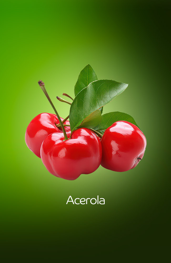 Acerola