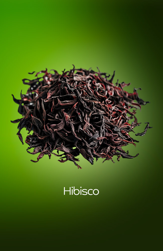 HIBISCO