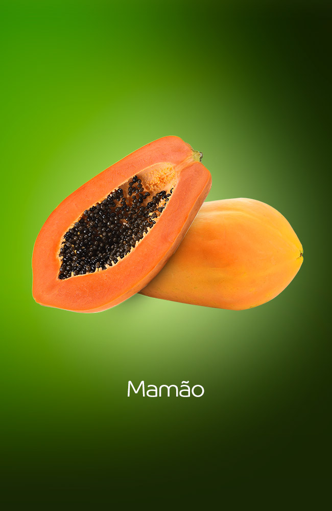 Mamão